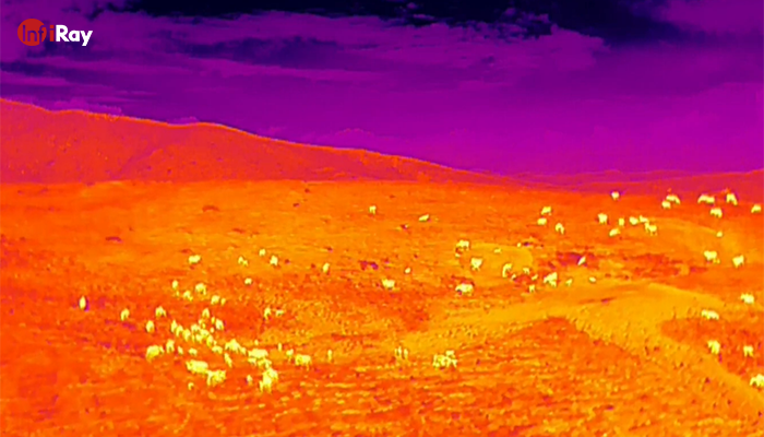 01Searching_from_higher_ground_with_thermal_cameras.png