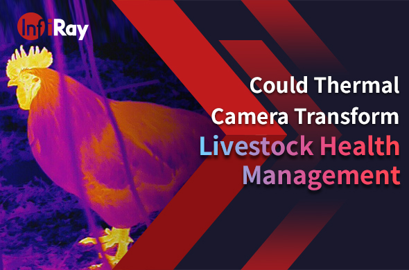cover-Livestock_Health_Management_with_thermal_camera.jpg