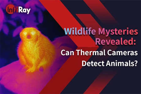 Wildtier mysterien enthüllt: Können Wärme kameras Tiere erkennen?
